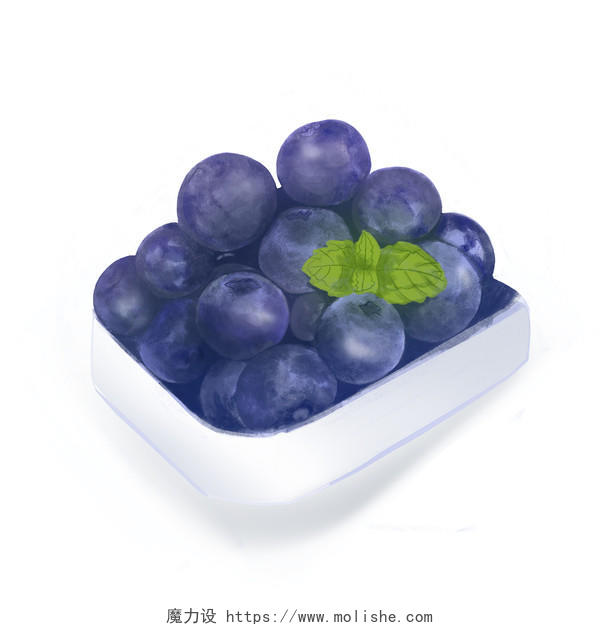 手绘风营养蓝莓水果插画素材png
